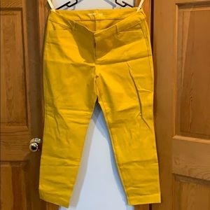 Old Navy Pixie pants size 14